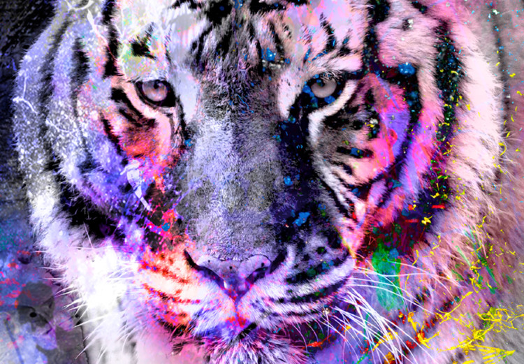 Large canvas print Colorful Cats II [Large Format] 131519 additionalImage 4