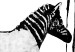 Canvas Art Print Banksy: Washing Zebra (1 Part) Wide 132419 additionalThumb 5