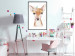 Poster Little Deer - funny portrait of an animal on a white contrasting background 135719 additionalThumb 9