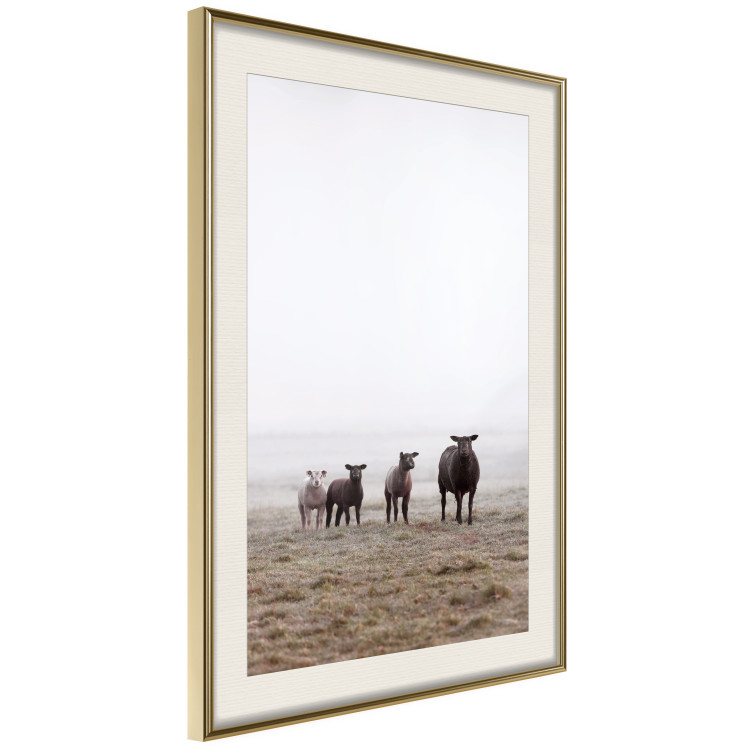 Wall Poster Friends in the Morning - landscape of a field with animals against fog 137919 additionalImage 18
