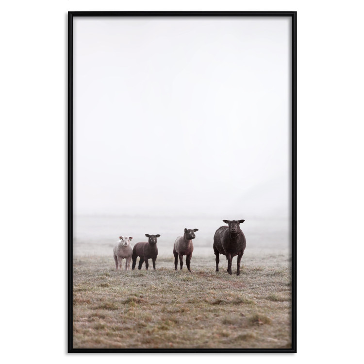 Wall Poster Friends in the Morning - landscape of a field with animals against fog 137919 additionalImage 5