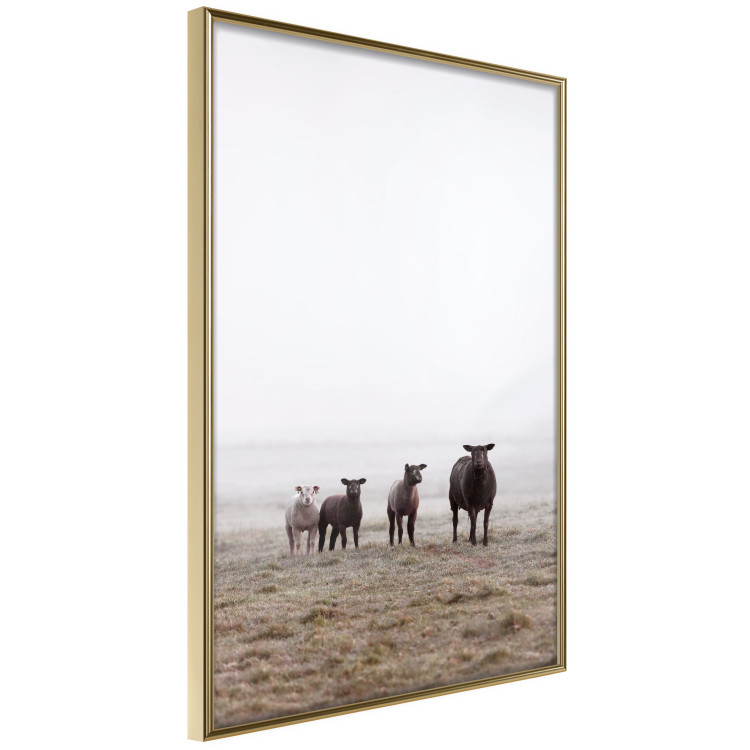Wall Poster Friends in the Morning - landscape of a field with animals against fog 137919 additionalImage 22