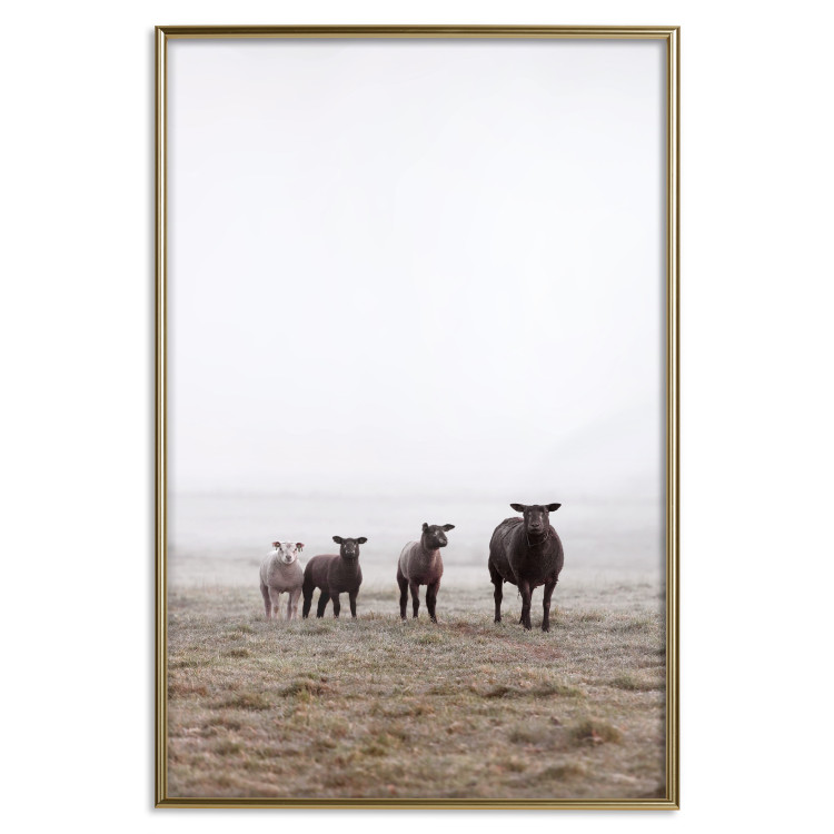 Wall Poster Friends in the Morning - landscape of a field with animals against fog 137919 additionalImage 20