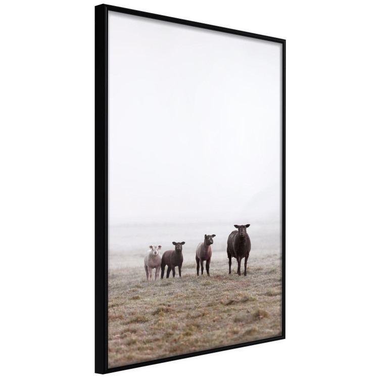 Wall Poster Friends in the Morning - landscape of a field with animals against fog 137919 additionalImage 16