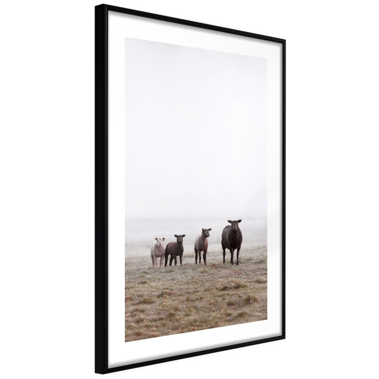Wall Poster Friends in the Morning - landscape of a field with animals against fog 137919 additionalImage 21