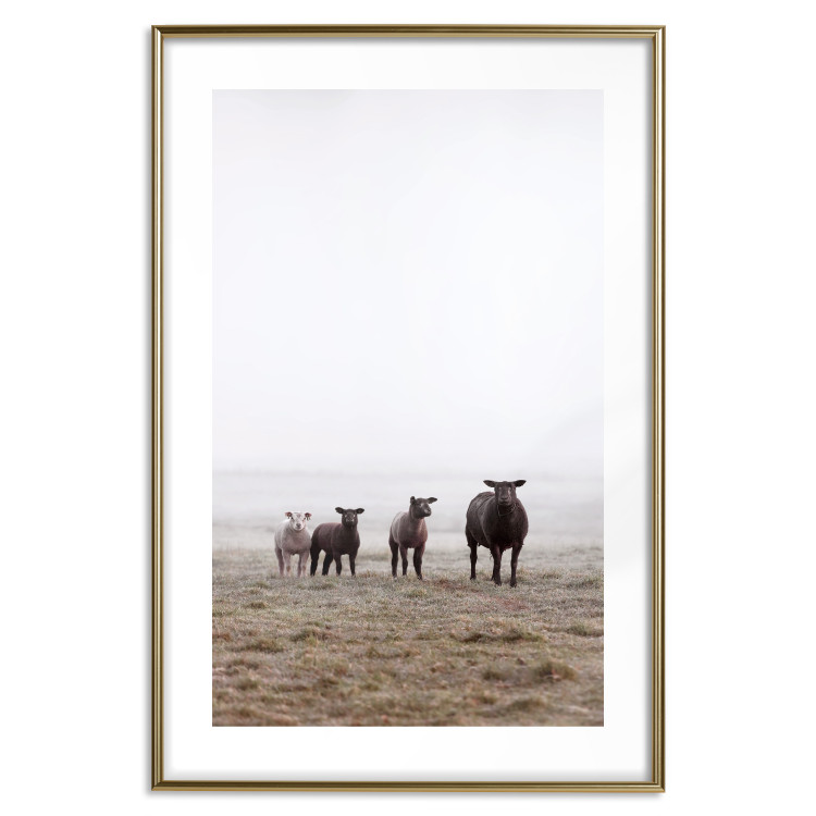 Wall Poster Friends in the Morning - landscape of a field with animals against fog 137919 additionalImage 4