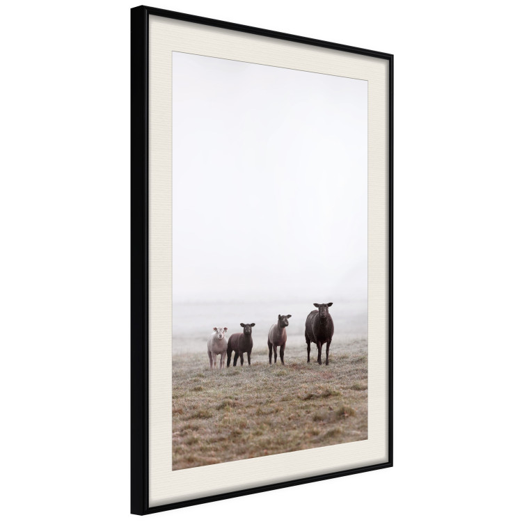 Wall Poster Friends in the Morning - landscape of a field with animals against fog 137919 additionalImage 19