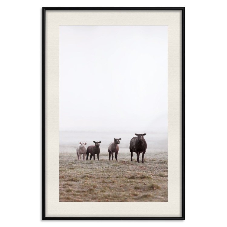 Wall Poster Friends in the Morning - landscape of a field with animals against fog 137919 additionalImage 3