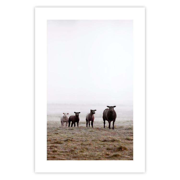 Wall Poster Friends in the Morning - landscape of a field with animals against fog 137919 additionalImage 6