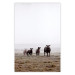 Wall Poster Friends in the Morning - landscape of a field with animals against fog 137919