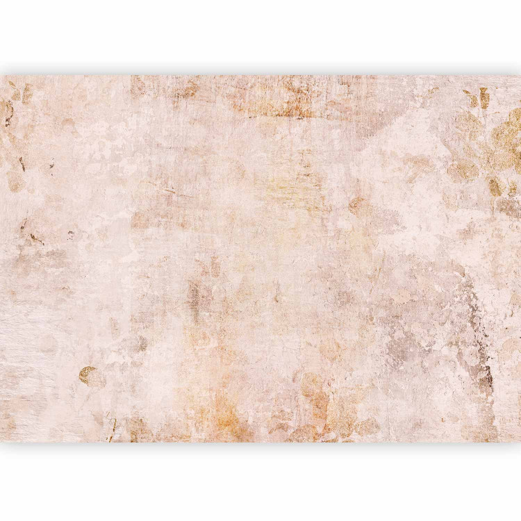 Photo Wallpaper Scandi boho with texture - solid background with pattern in sand colour 142519 additionalImage 5