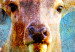 Large canvas print Deer on Wood [Large Format] 149119 additionalThumb 5