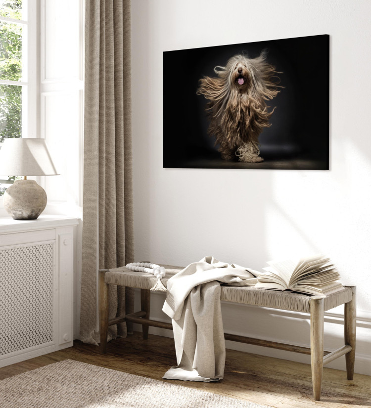 Canvas AI Bergamasco Dog - Happily Running Shaggy Animal - Horizontal 150219 additionalImage 4
