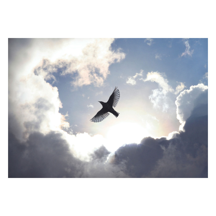 Wall Mural Flying Bird - Flight Against the Sky With Clouds and Sunshine 159919 additionalImage 1