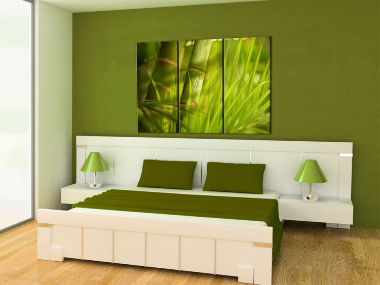 Canvas Art Print Fresh green tropical grass 58519 additionalImage 3