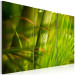 Canvas Art Print Fresh green tropical grass 58519 additionalThumb 2