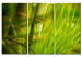 Canvas Art Print Fresh green tropical grass 58519