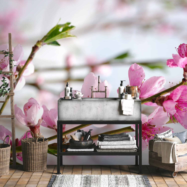 Photo Wallpaper Cherry Blossom - Japanese Motif with Cherry Blossom Flowers in the Center 60719 additionalImage 8