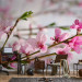 Photo Wallpaper Cherry Blossom - Japanese Motif with Cherry Blossom Flowers in the Center 60719 additionalThumb 4