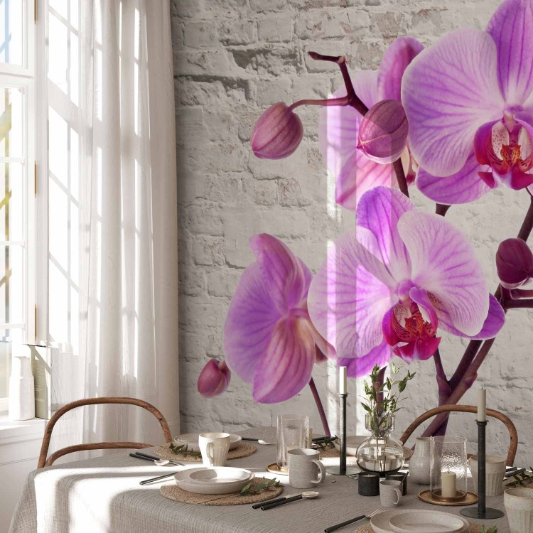 Photo Wallpaper Purple Delight - orchids submerged in water against a backdrop of a white wall 62019 additionalImage 7
