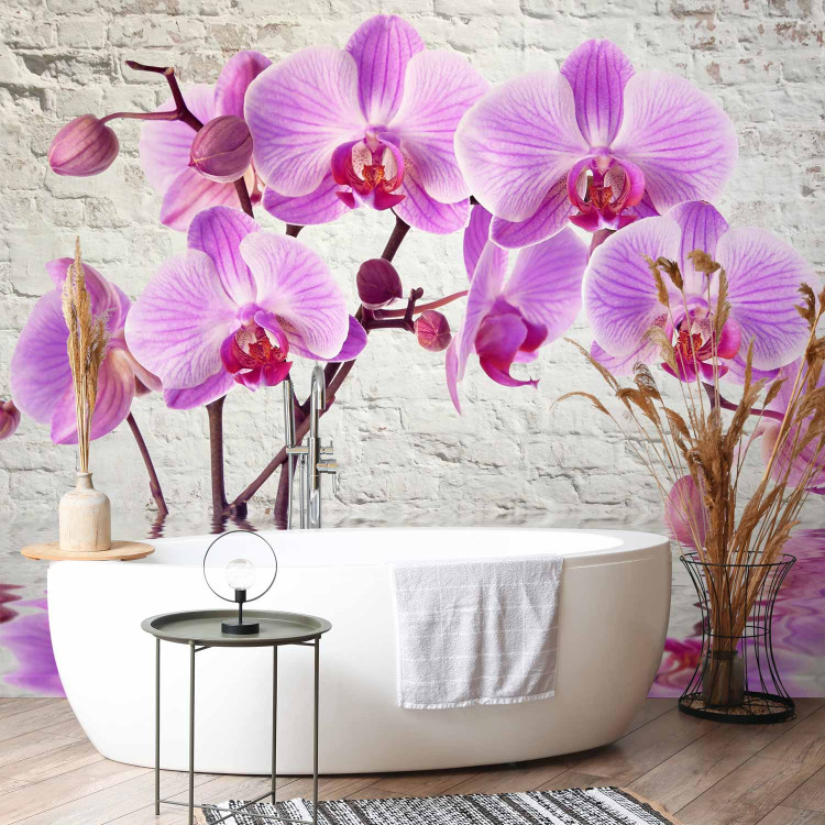 Photo Wallpaper Purple Delight - orchids submerged in water against a backdrop of a white wall 62019 additionalImage 8