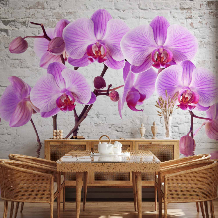 Photo Wallpaper Purple Delight - orchids submerged in water against a backdrop of a white wall 62019 additionalImage 4