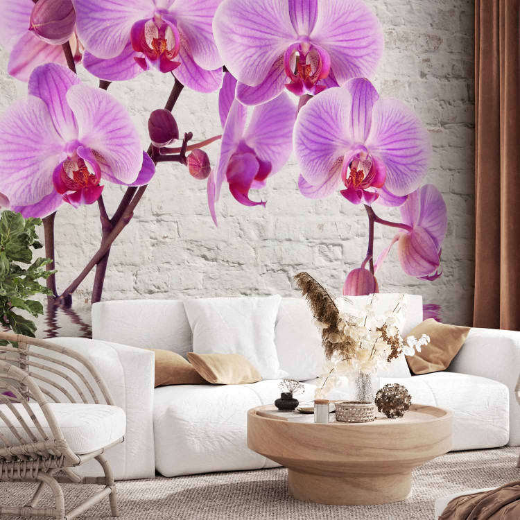 Photo Wallpaper Purple Delight - orchids submerged in water against a backdrop of a white wall 62019