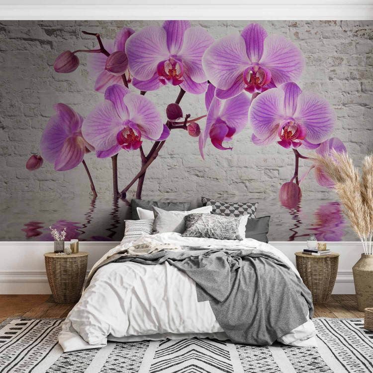 Photo Wallpaper Purple Delight - orchids submerged in water against a backdrop of a white wall 62019 additionalImage 2