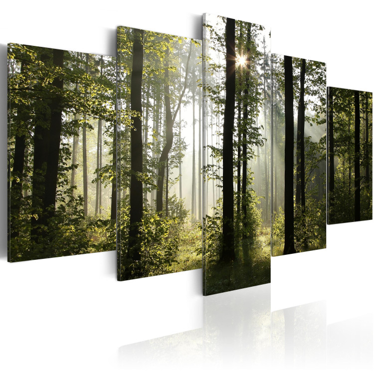 Canvas Print Green Light of Nature (5-part) - Nature's Glow in Forest Landscape 97519 additionalImage 2