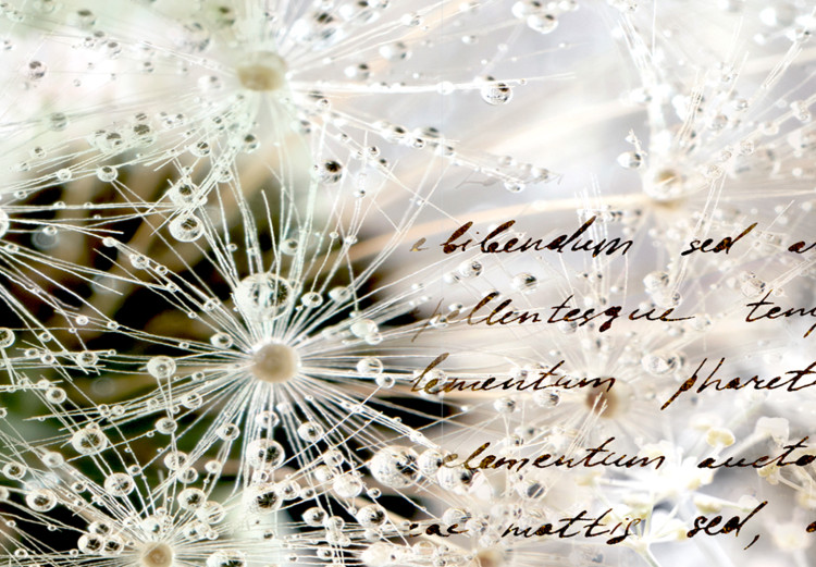 Canvas Fluffy Abstraction (1-piece) - Dandelions and Quotes on Wood 105729 additionalImage 4