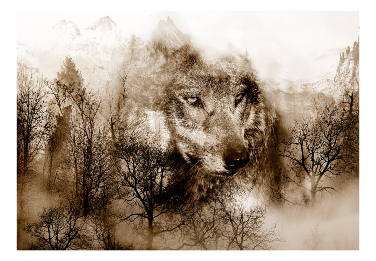 Wall Mural Predator from the mountains - lone wolf among forest trees in the mountains in sepia 108229 additionalImage 1