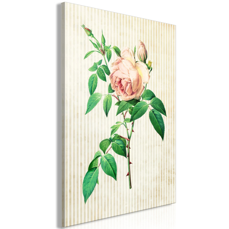 Canvas Print Delicate rose - thorny flower on a bright striped background 117329 additionalImage 2