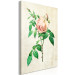 Canvas Print Delicate rose - thorny flower on a bright striped background 117329 additionalThumb 2