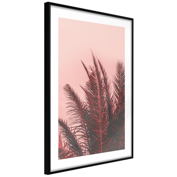 Wall Poster Palms at Sunset - botanical composition with tropical plants 128829 additionalImage 6