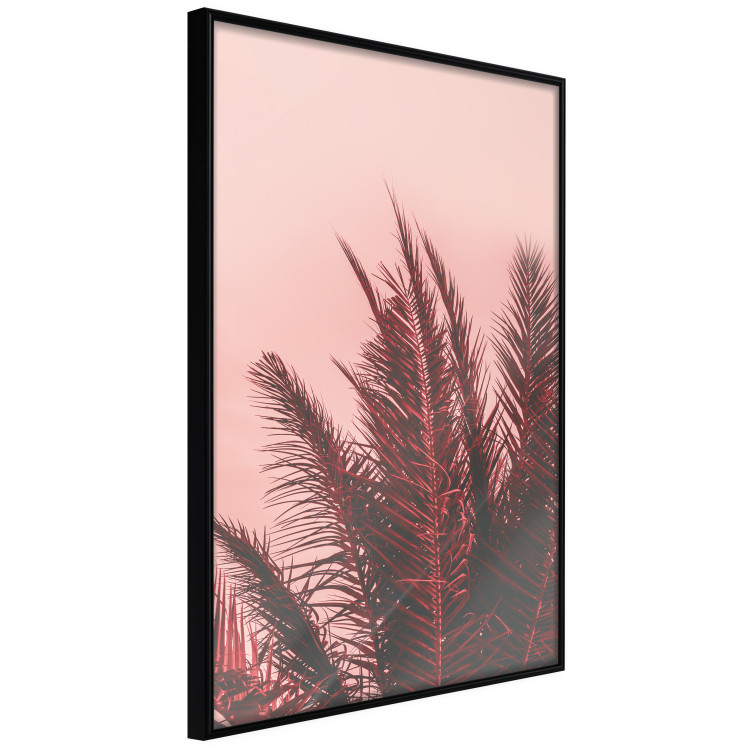 Wall Poster Palms at Sunset - botanical composition with tropical plants 128829 additionalImage 11