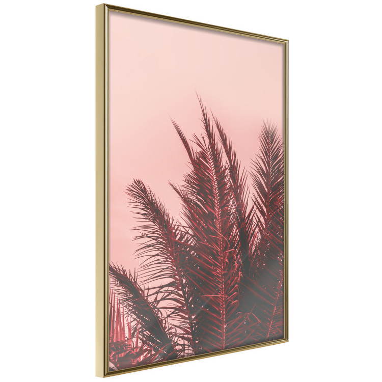 Wall Poster Palms at Sunset - botanical composition with tropical plants 128829 additionalImage 12
