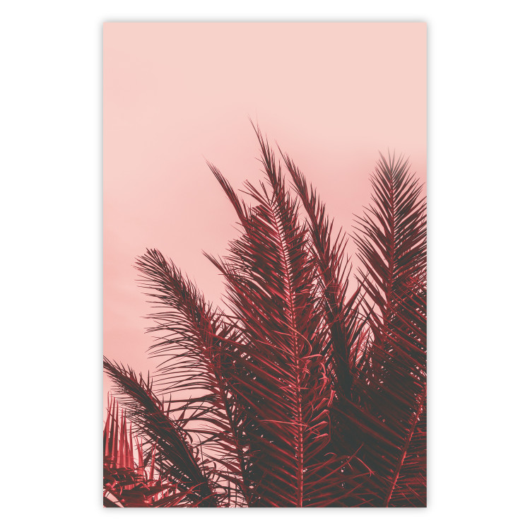 Wall Poster Palms at Sunset - botanical composition with tropical plants 128829