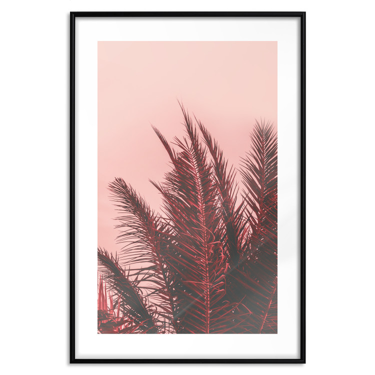 Wall Poster Palms at Sunset - botanical composition with tropical plants 128829 additionalImage 15
