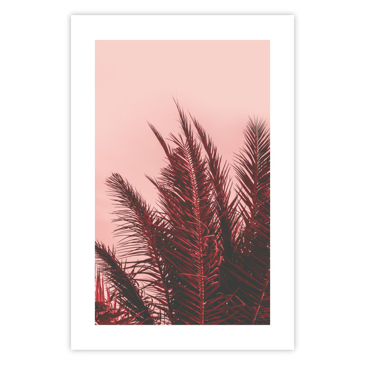 Wall Poster Palms at Sunset - botanical composition with tropical plants 128829 additionalImage 19