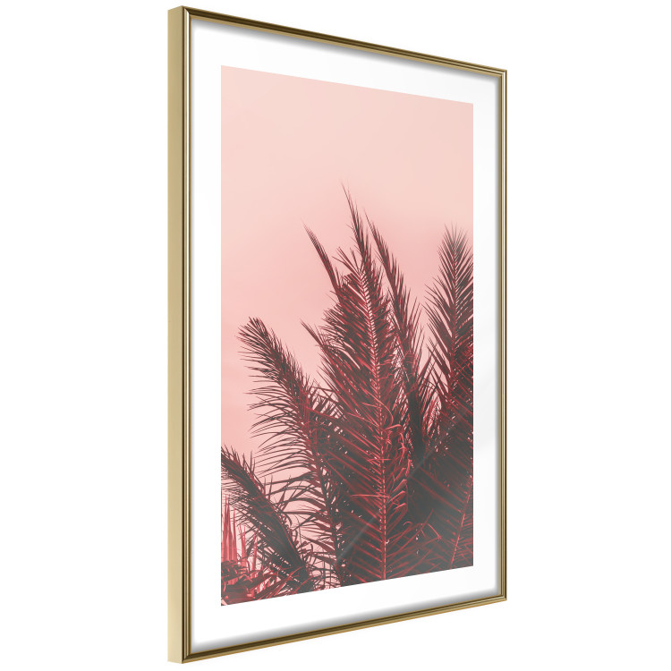 Wall Poster Palms at Sunset - botanical composition with tropical plants 128829 additionalImage 7