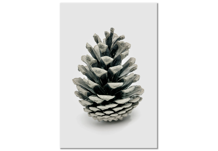 Canvas Art Print Winter cone - floral, winter photograph on a white background 130729
