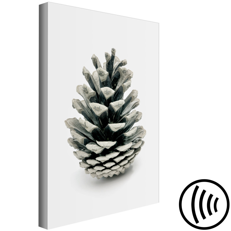 Canvas Art Print Winter cone - floral, winter photograph on a white background 130729 additionalImage 6