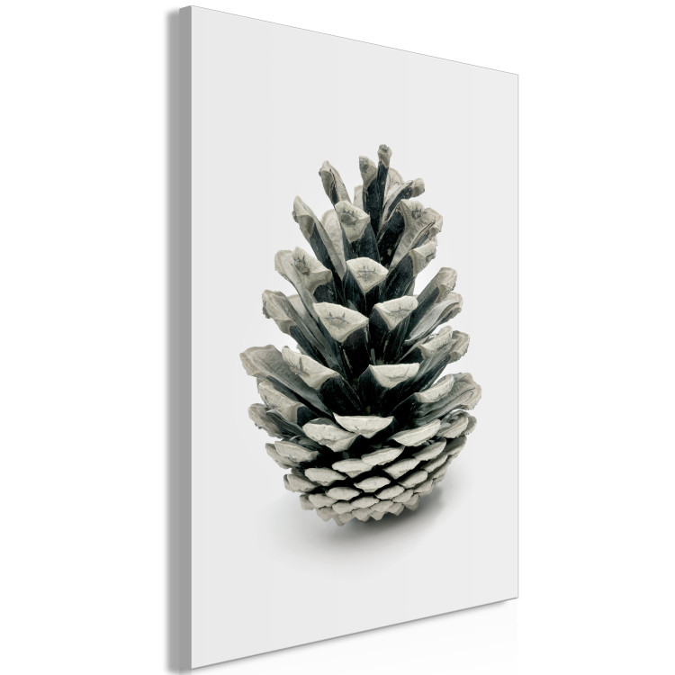 Canvas Art Print Winter cone - floral, winter photograph on a white background 130729 additionalImage 2