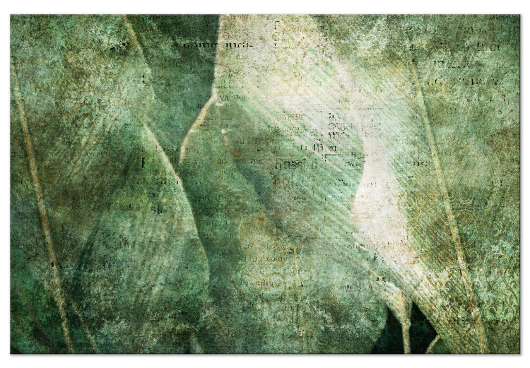 Canvas Print Big leaves - Worn image of exotic leaves plants 135529