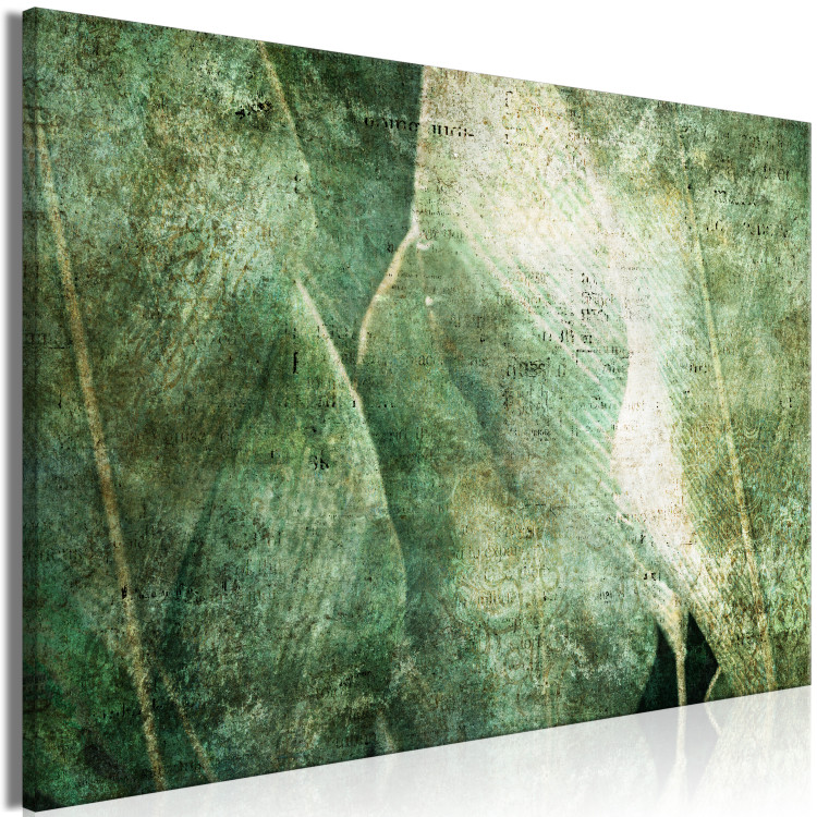 Canvas Print Big leaves - Worn image of exotic leaves plants 135529 additionalImage 2