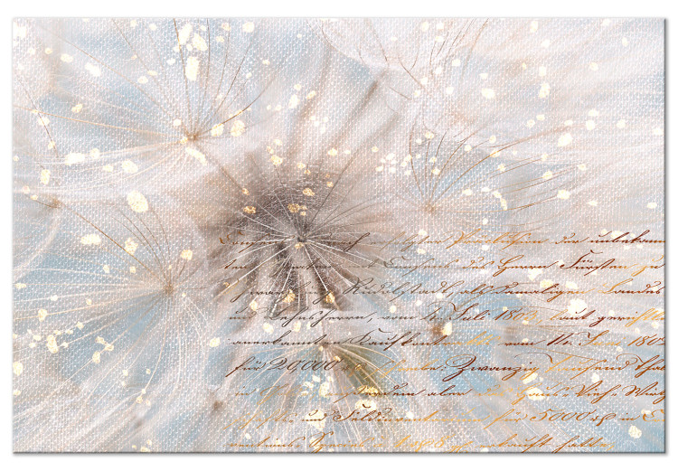 Canvas Print Enchanted Dandelions (1-piece) Wide - floral motif and writings 143129