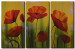 Canvas Art Print Transience of poppies 48129