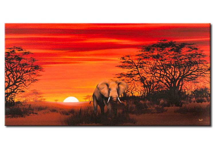 Canvas Solitary elephant 49629