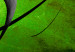 Canvas Art Print Rotating globe - green 55829 additionalThumb 5