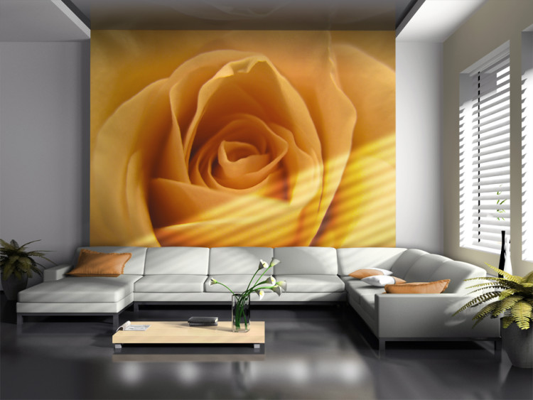 Photo Wallpaper Yellow Rose - Natural Close-up of a Rose Flower Petal 60329
